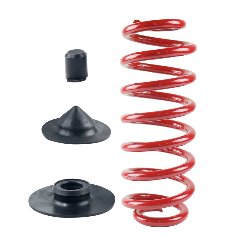 Rear Air Suspension Bag to Coil Spring Conversion Kit Fits For 2000-2006 BMW X5 E53