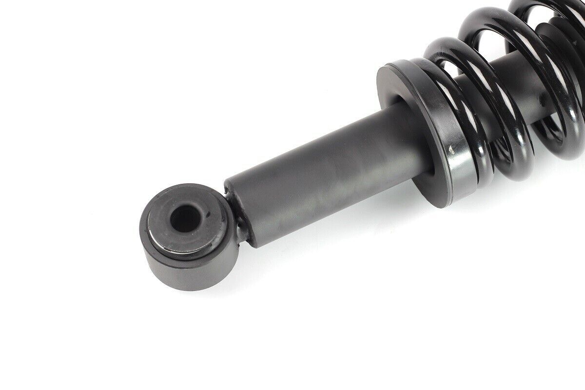 Pair Front Complete Strut Coil Spring Assembly Fits 2009-2013 Ford F-150 RWD