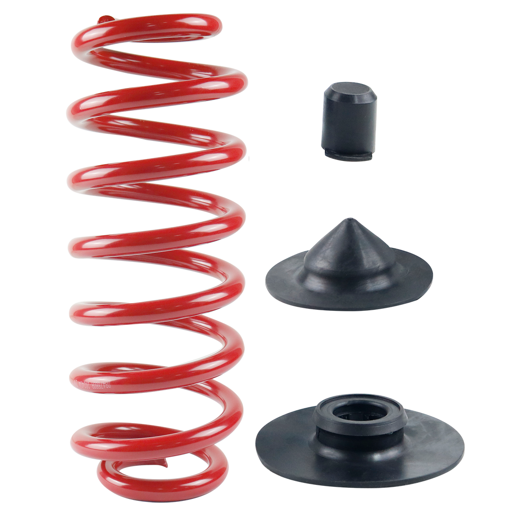 Rear Air Suspension Bag to Coil Spring Conversion Kit Fits For 2000-2006 BMW X5 E53