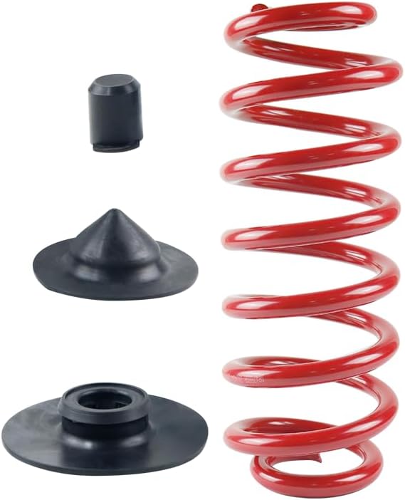 Heavy Duty Rear Air Suspension Bag to Coil Spring Conversion Kit Fits For 2000-2006 BMW X5 E53